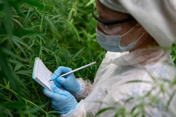 istock A masked person in gloves writes on a notepad in the grass 2169964679