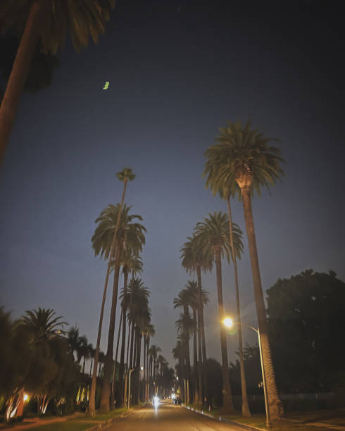 istock Dreamy California Evening 2169967350