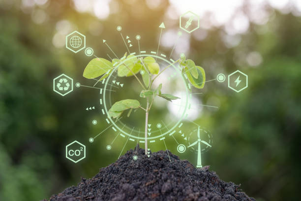 istock A plant is growing in a dirt mound with a green circle around it 2169967993