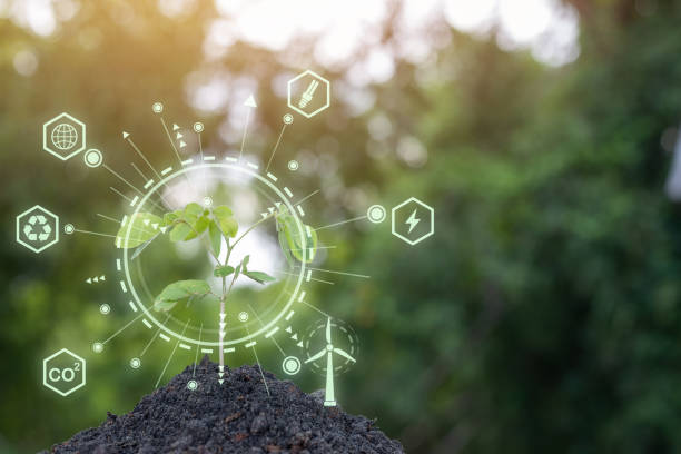 istock A plant is growing in a dirt mound with a green circle around it. 2169967997