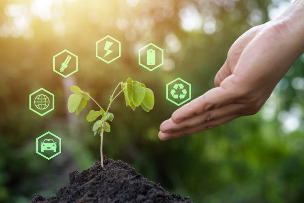 istock A plant is growing in a dirt mound with a green circle around it. 2169968019