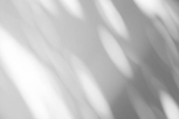 istock Studio style background wall decoration presentation uses white tones. with shadows cast from a nearby window, concept creating a decorative backdrop. 2169969363