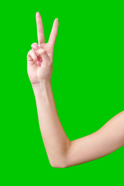 istock Woman's Hand Showing Number Against Green Screen 2169972867