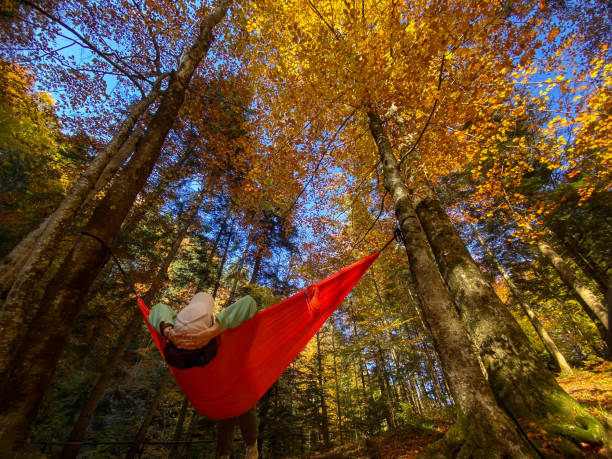 istock Relaxing in an Orange Hammock in Autumn Forest 2169972961