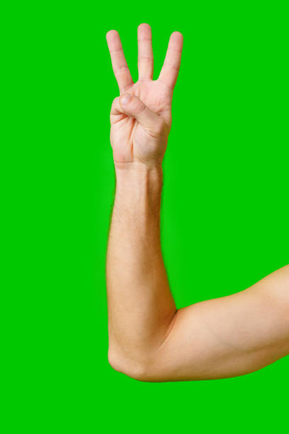 Hand Holding Up Three Fingers Against Bright Green Background