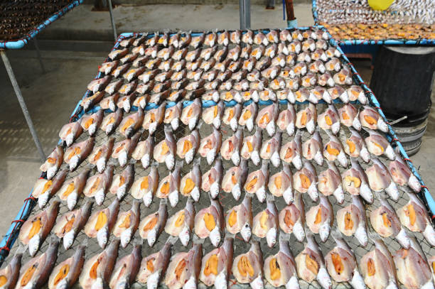 Texture and background of dried Gianf fish on a net tray.
