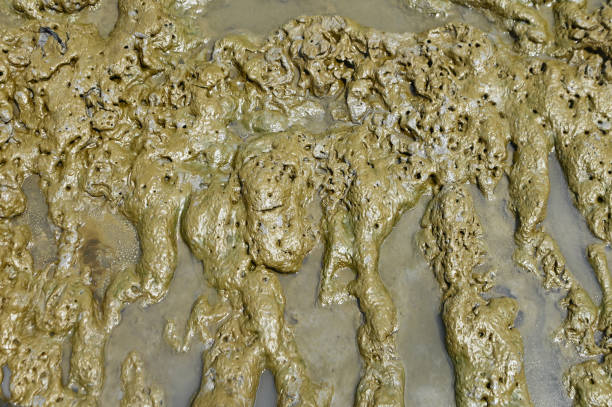 istock Abstract background and texture of wet clay beach. 2169975336