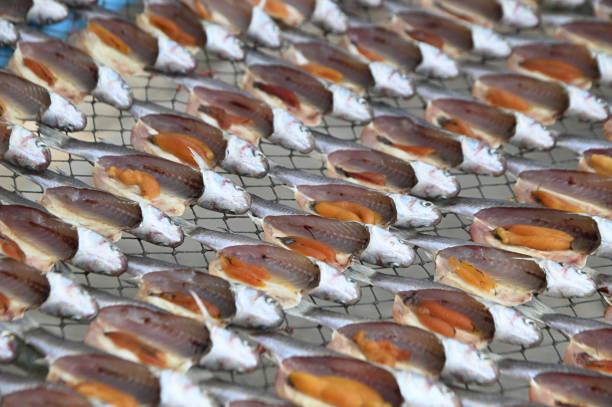 Texture and background of dried Gianf fish on a net tray.