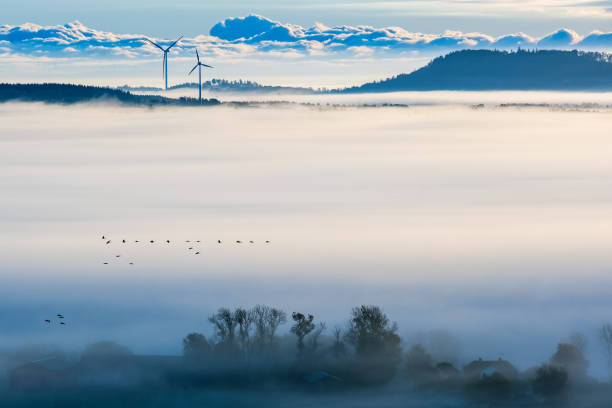 Landscape view a misty morning with flying birds