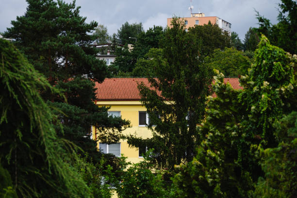 A view of a residential area featuring a mix of apartment buildings and houses surrounded by lush trees. The scene captures the contrast between the natural greenery and the diverse architectural styles, with a backdrop of hills under a cloudy sky.
