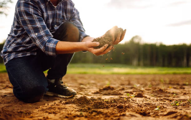 istock A person kneeling on a farm field analyzing soil quality  in a rural landscape. 2169982016