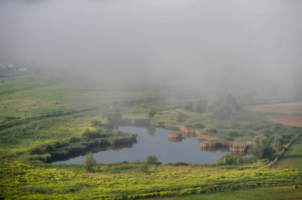A serene pond is surrounded by lush green vegetation, partially obscured by morning mist. The tranquil scene is set in a vibrant meadow, with soft light creating a peaceful and refreshing atmosphere.