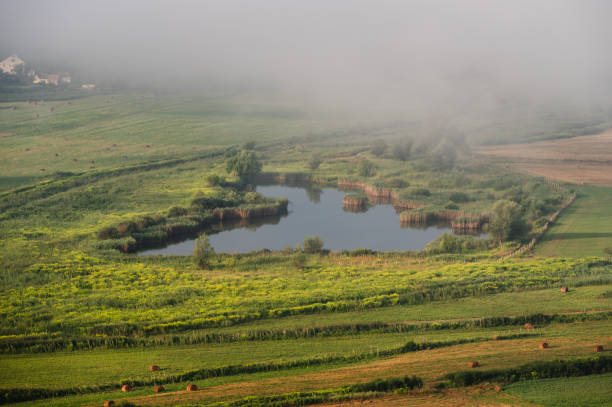 Golden Foggy Morning over Ponds