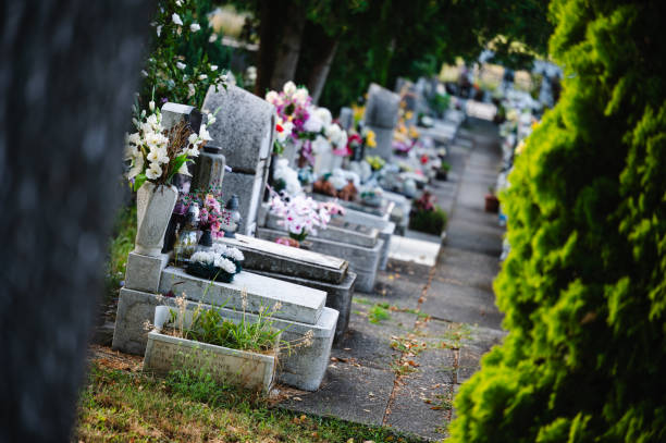 istock Sunlit cemetery with tombstones and birch tree 2169982377