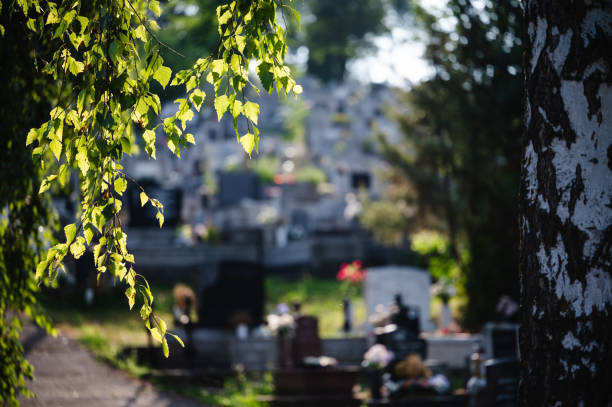 Old tombstones in a Berlin cemetery in Kreuzberg, in autumn
