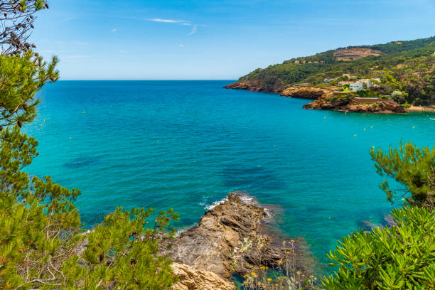 istock Cala de Sa Riera, Begur, Catalonia, Spain 2169982890