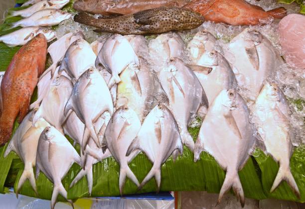 istock Raw Fish in Bangkok Fresh Market. 2169985917