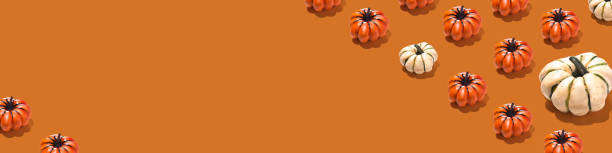 A cute fluffy cat sits near a pumpkin on an orange background. Concept: holiday, halloween.