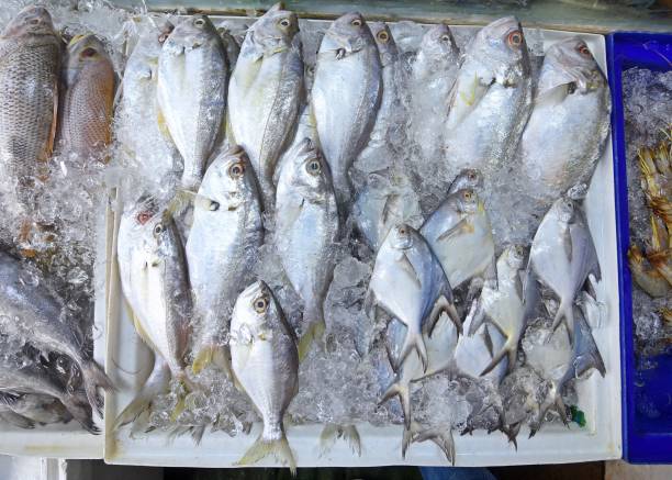 istock Raw Fish in Bangkok Fresh Market. 2169986868