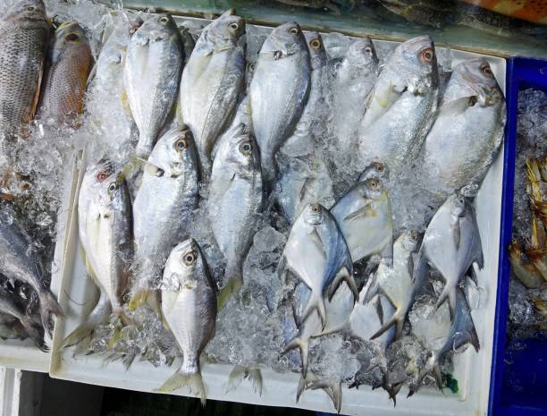 istock Raw Fish in Bangkok Fresh Market. 2169987147