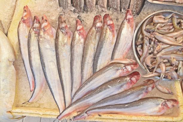 istock Raw Fish in Bangkok Fresh Market. 2169987709