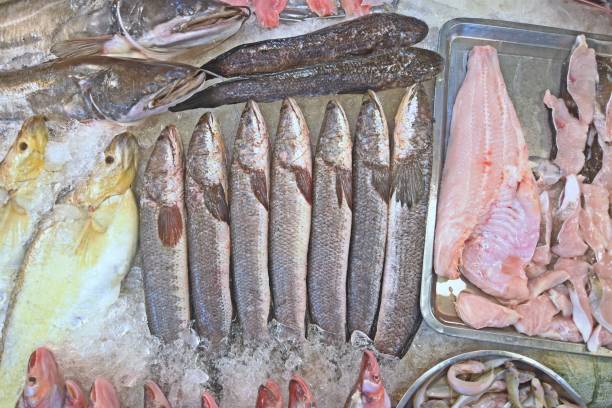 istock Raw Fish in Bangkok Fresh Market. 2169988413