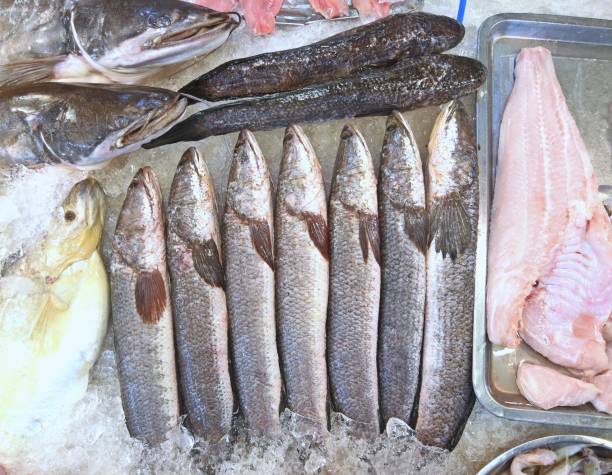 istock Raw Fish in Bangkok Fresh Market. 2169988556