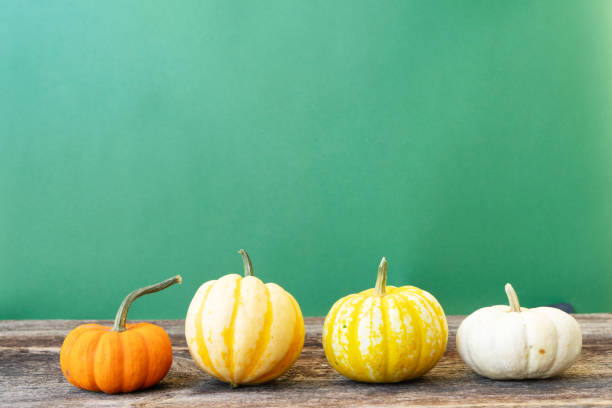 Halloween or thansgiving concept, row of orange and white pumpkins on bright green background with copy space
