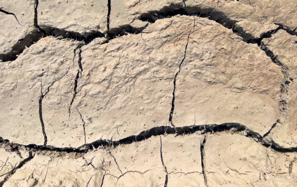dry land with cracks,a global problem, dehydration of the desert, no plants, cracks from drought, no water to drink, the scorching sun scorches the earth