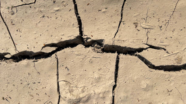 istock dry land with cracks,a global problem, dehydration of the desert, no plants, cracks from drought, no water to drink, the scorching sun scorches the earth 2169991707