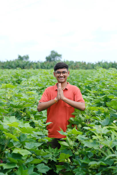 istock Growing with Technology: A Proud Farmer Showcasing His Thriving Cotton Fields 2169997267