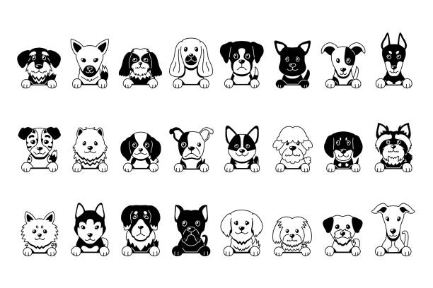 Vector black and white cartoon different type of dog faces vector art illustration