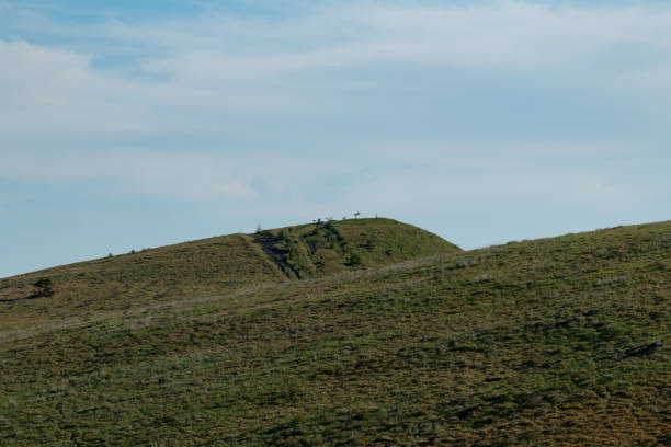 istock Kirigamine, a plateau shrouded in mist 2170004205