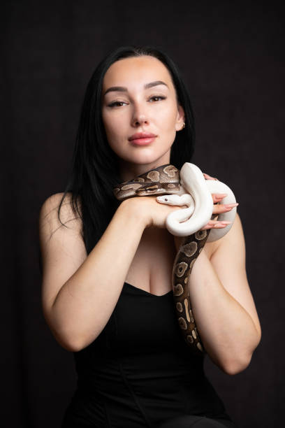 istock Young woman with snakes on a plain background. 2170010338