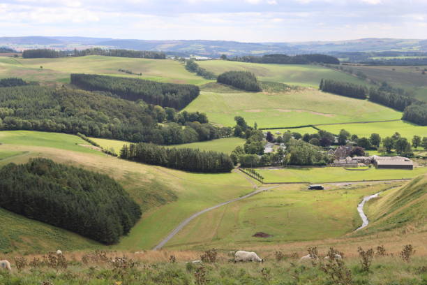 istock View over rolling Northumbrian countryside with fields and woodland in summer 2170012448