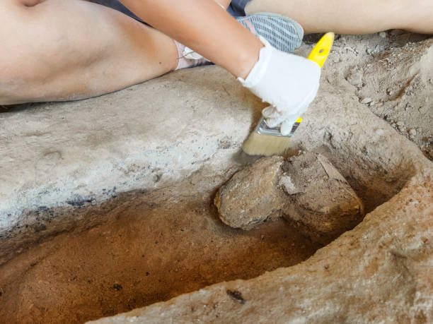 istock An anthropologist digging a grave, bone, skull, cemetery 2170013590