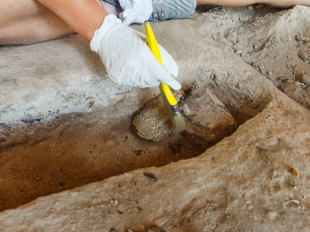 istock An anthropologist digging a grave, bone, skull, cemetery 2170013609