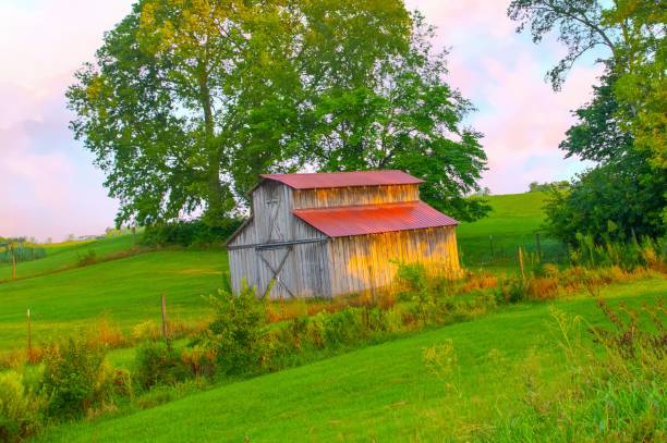 istock Old Weathered Barn at sunrise-Hamilton County, Indiana 2170024831