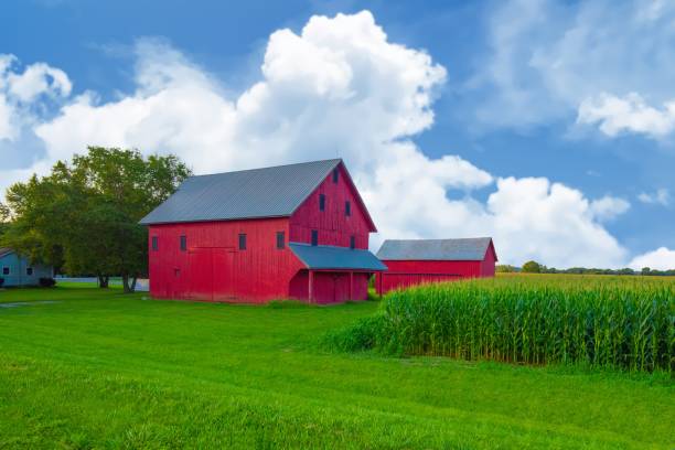 istock Red Barn at sunrise with corn field-Hamilton County, Indiana 2170024853