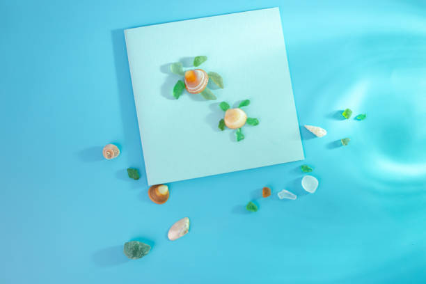 Creative representation of turtle crafted from seashells and glass fragments on blue sea-like background. Scattered beach finds add artistic touch. DIY, craft for kids, summer theme representación creativa de tortuga elaborada a partir de conchas marinas y fragmentos de vidrio sobre fondo azul marino sobre un fondo azul parecido al mar. los hallazgos dispersos de la playa añaden un toque artístico. bricolaje, manualidades para niñ