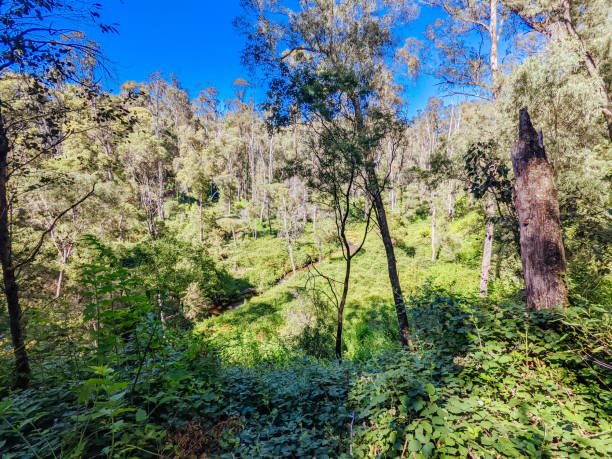 istock Yackandandah MTB Trails in Australia 2170035236