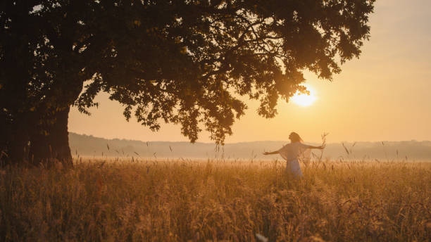 istock Serene Sunset Scene with Female by Majestic Tree 2170036074
