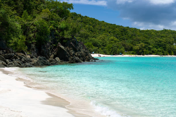 istock Oppenheimer Beach / Gibney Beach, St.John, USVI 2170036148