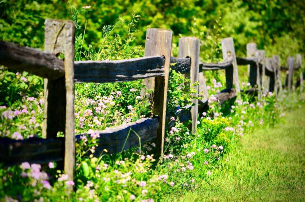 istock Rural Rustic Wood fence 2170041230