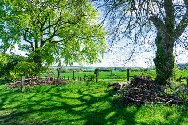 Fram Gate across a path in the countryside
