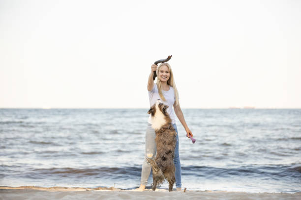 istock Young woman having fun on sandy beach with her dog catching a stick 2170048754