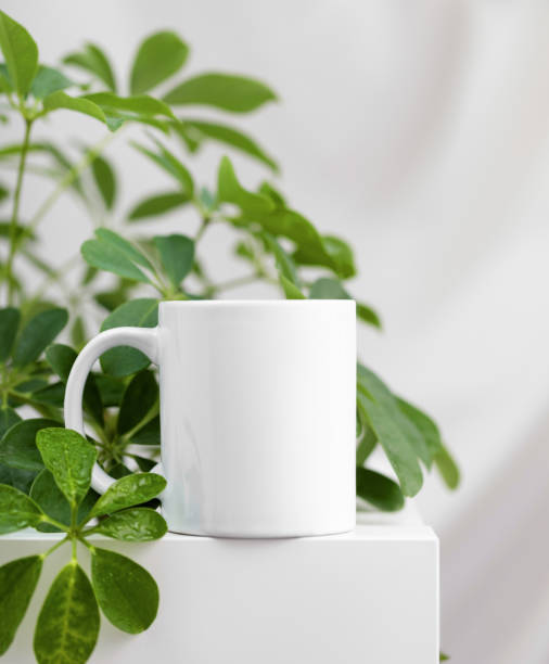 istock Mockup of a white tea cup or coffee mug on a white table background with a Schefflera plant 2170050576