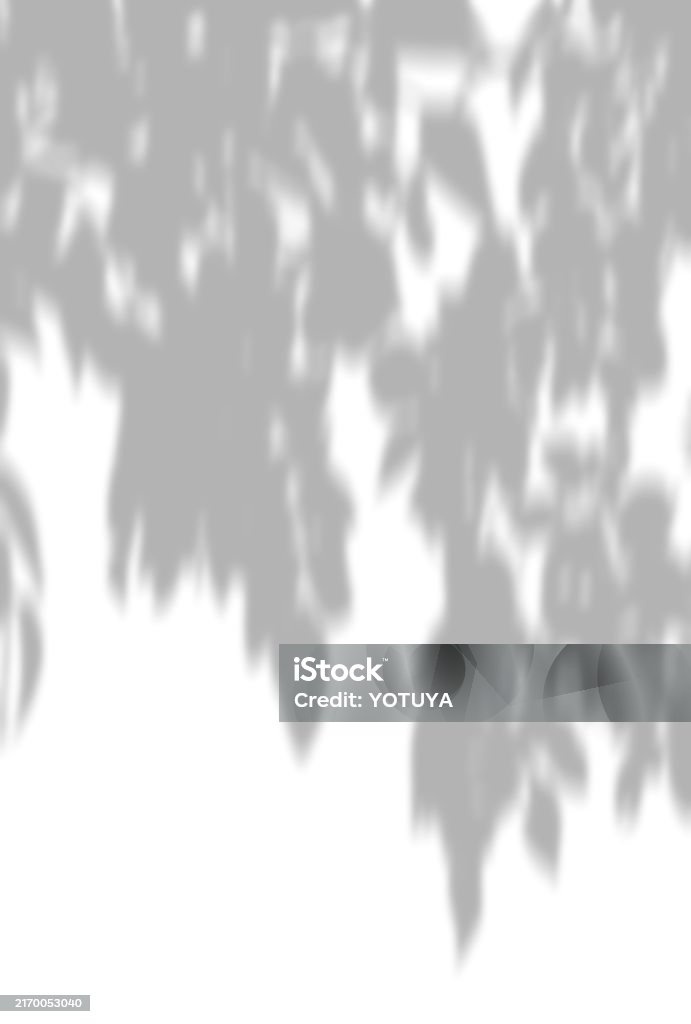 Tree Shadow Background Sharp Beautiful Tree Shadow Background Illustration Stock Illustration ...
