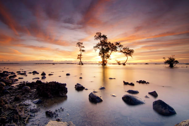 istock Rock and waves at savarna beach, indonesia 2170055785