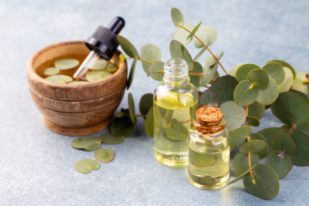 istock Eucalyptus leaves and essential oil 2170058953